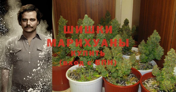 СК Гусь-Хрустальный