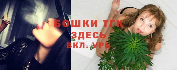 гидропоника Гусев