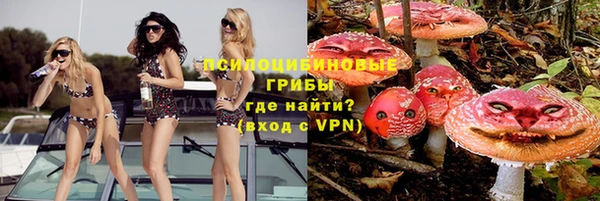 гидропоника Гусев