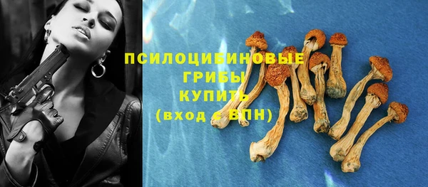 СК Гусь-Хрустальный