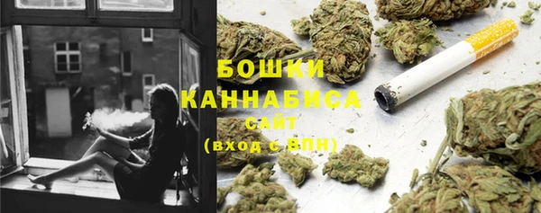 гидропоника Гусев