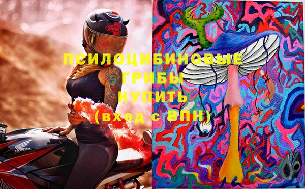 СК Гусь-Хрустальный